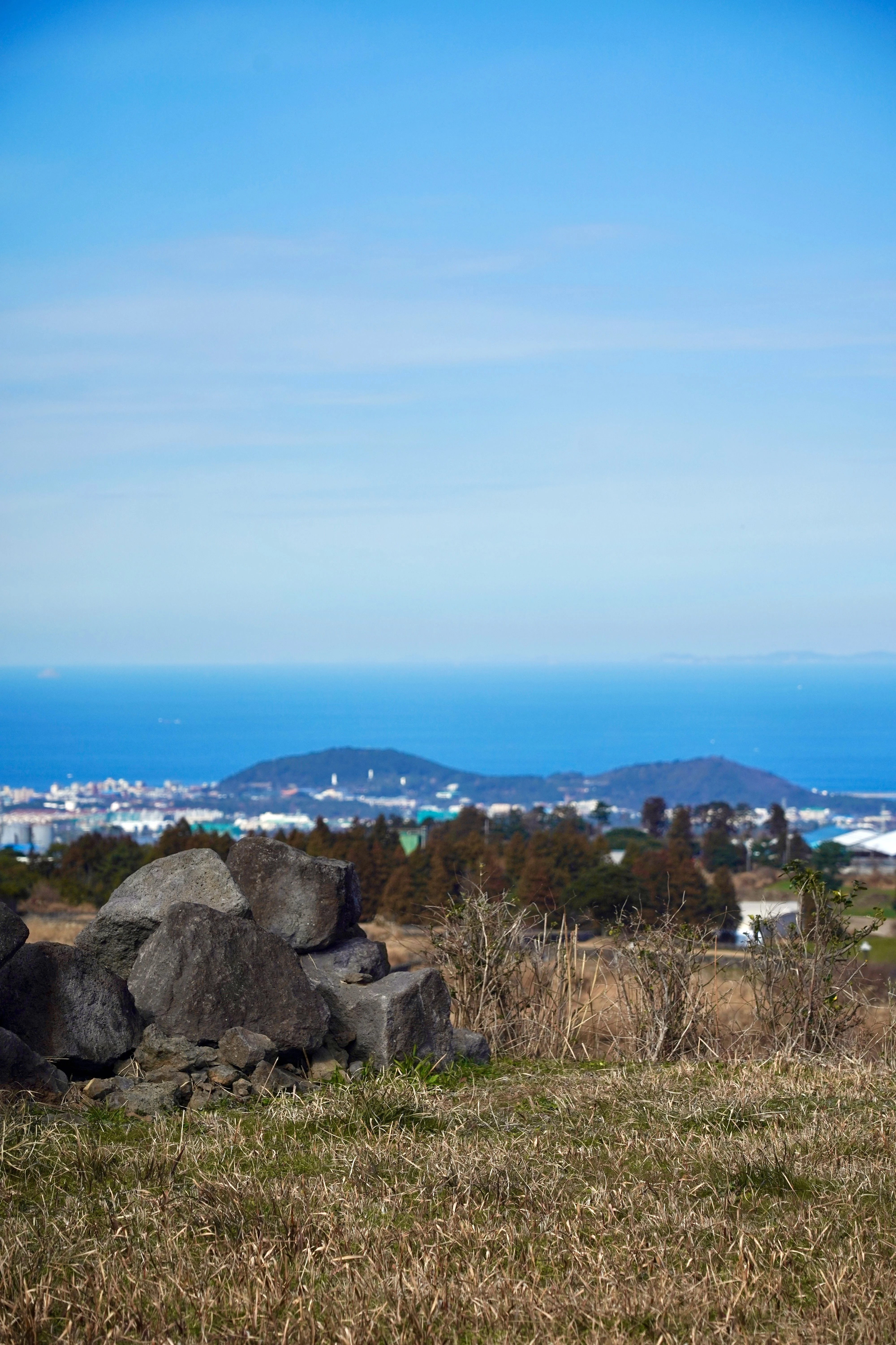 제주의 산. 돌과 나뭇가지 너머로 나무들과 마을, 바다가 보인다.