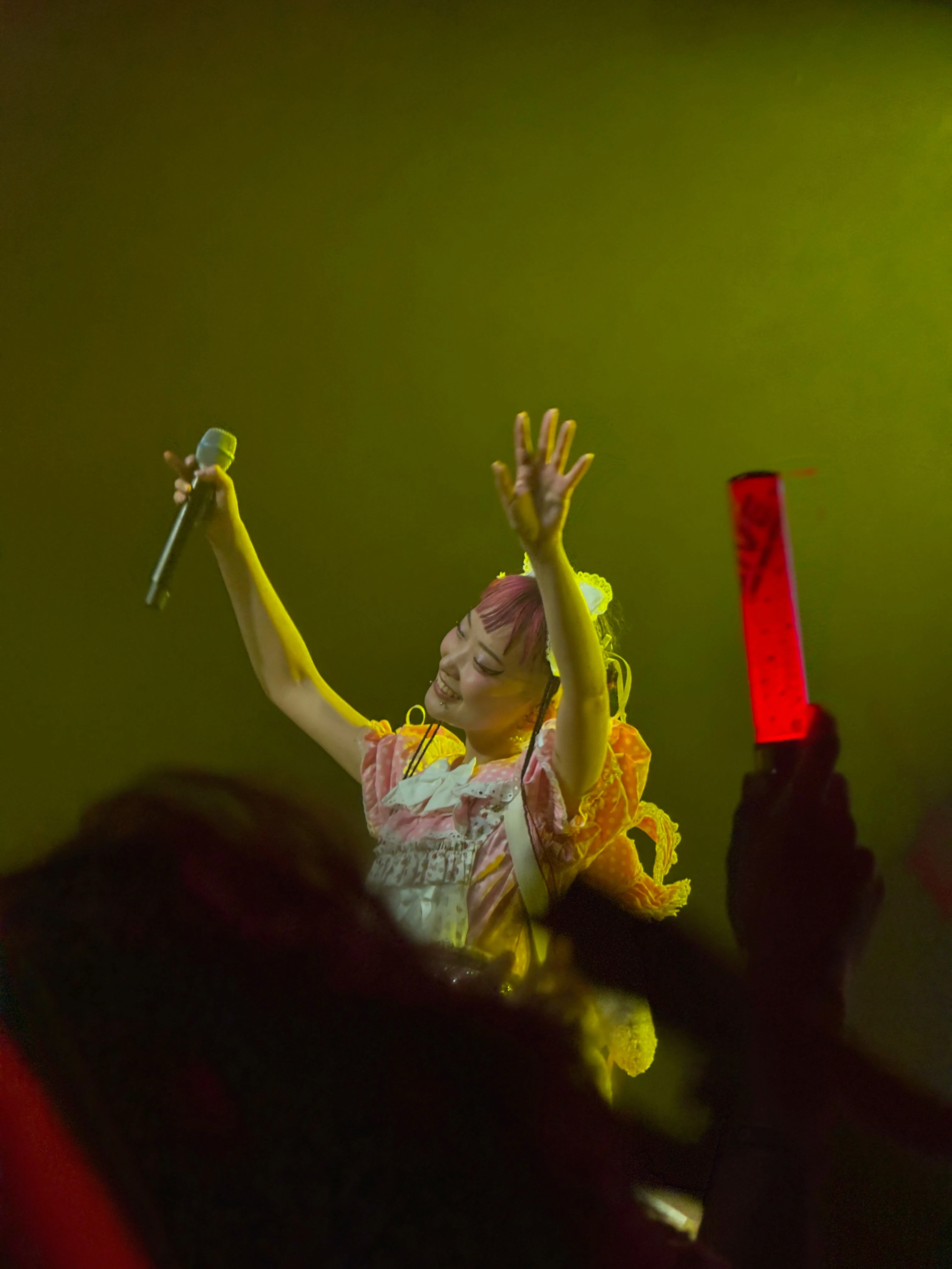 롤리타 패션 복장을 한 WEDNESDAY CAMPANELLA(수요일의 캄파넬라)의 우타하가 마이크를 쥔 채로 양팔을 뻗어 흔들고 있다. 객석에는 빨간색 야광봉을 든 관객의 손이 보인다.