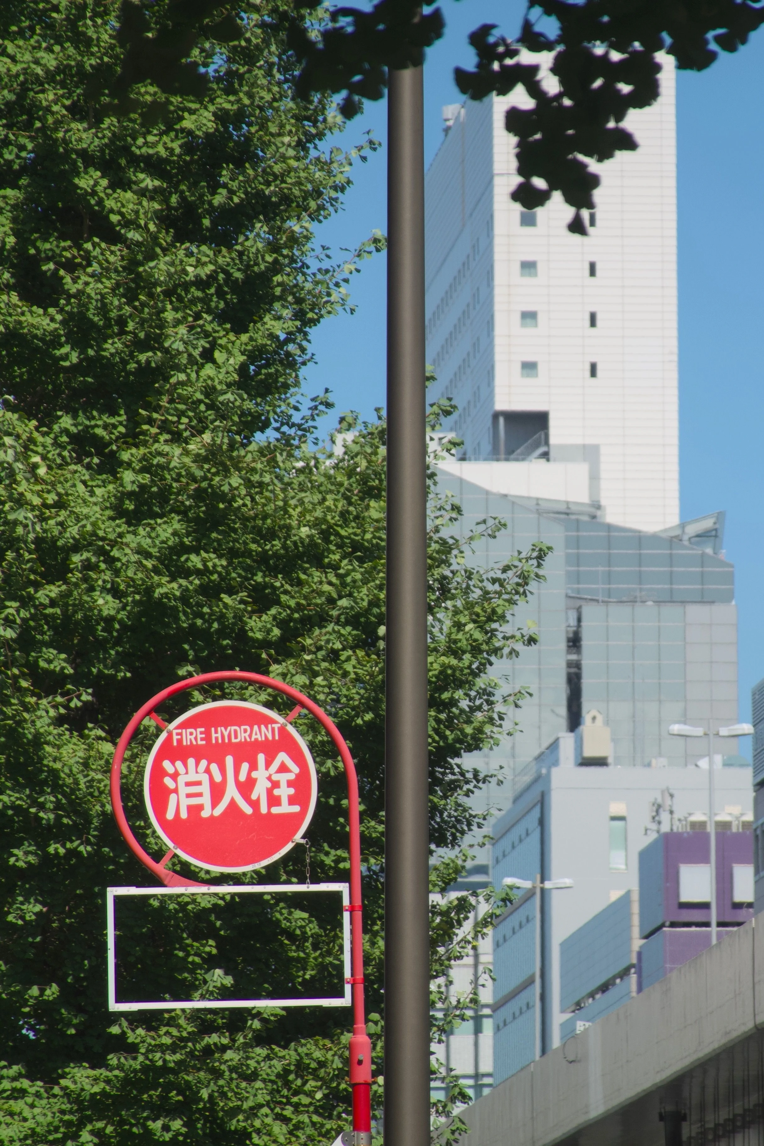 가로등의 기둥이 사진의 가운데를 수직으로 가르고 있고, 좌측에는 빨간색 소화전 표지판과 나뭇잎들이, 우측에는 건물과 고가도로가 보인다.