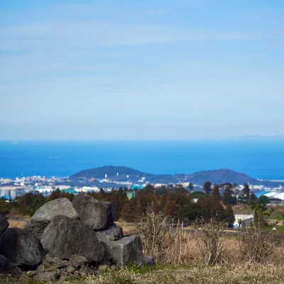 제주의 산. 돌과 나뭇가지 너머로 나무들과 마을, 바다가 보인다.