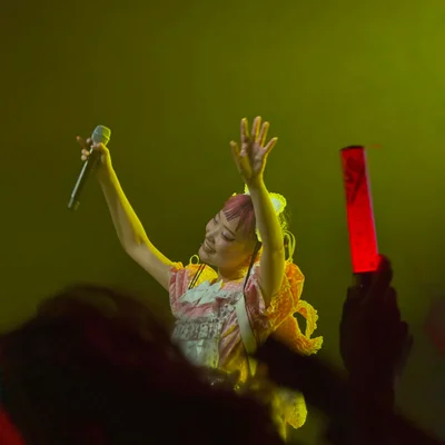 롤리타 패션 복장을 한 WEDNESDAY CAMPANELLA(수요일의 캄파넬라)의 우타하가 마이크를 쥔 채로 양팔을 뻗어 흔들고 있다. 객석에는 빨간색 야광봉을 든 관객의 손이 보인다.