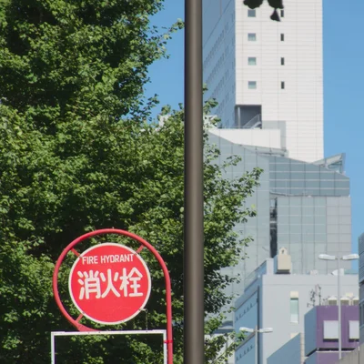 가로등의 기둥이 사진의 가운데를 수직으로 가르고 있고, 좌측에는 빨간색 소화전 표지판과 나뭇잎들이, 우측에는 건물과 고가도로가 보인다.